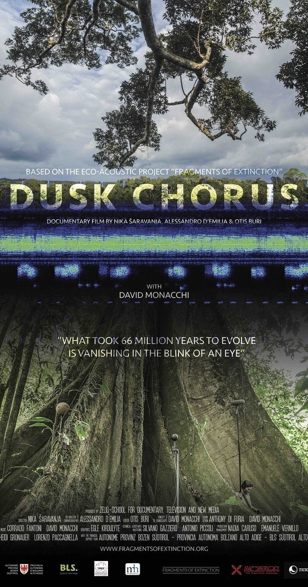 Dusk Chorus