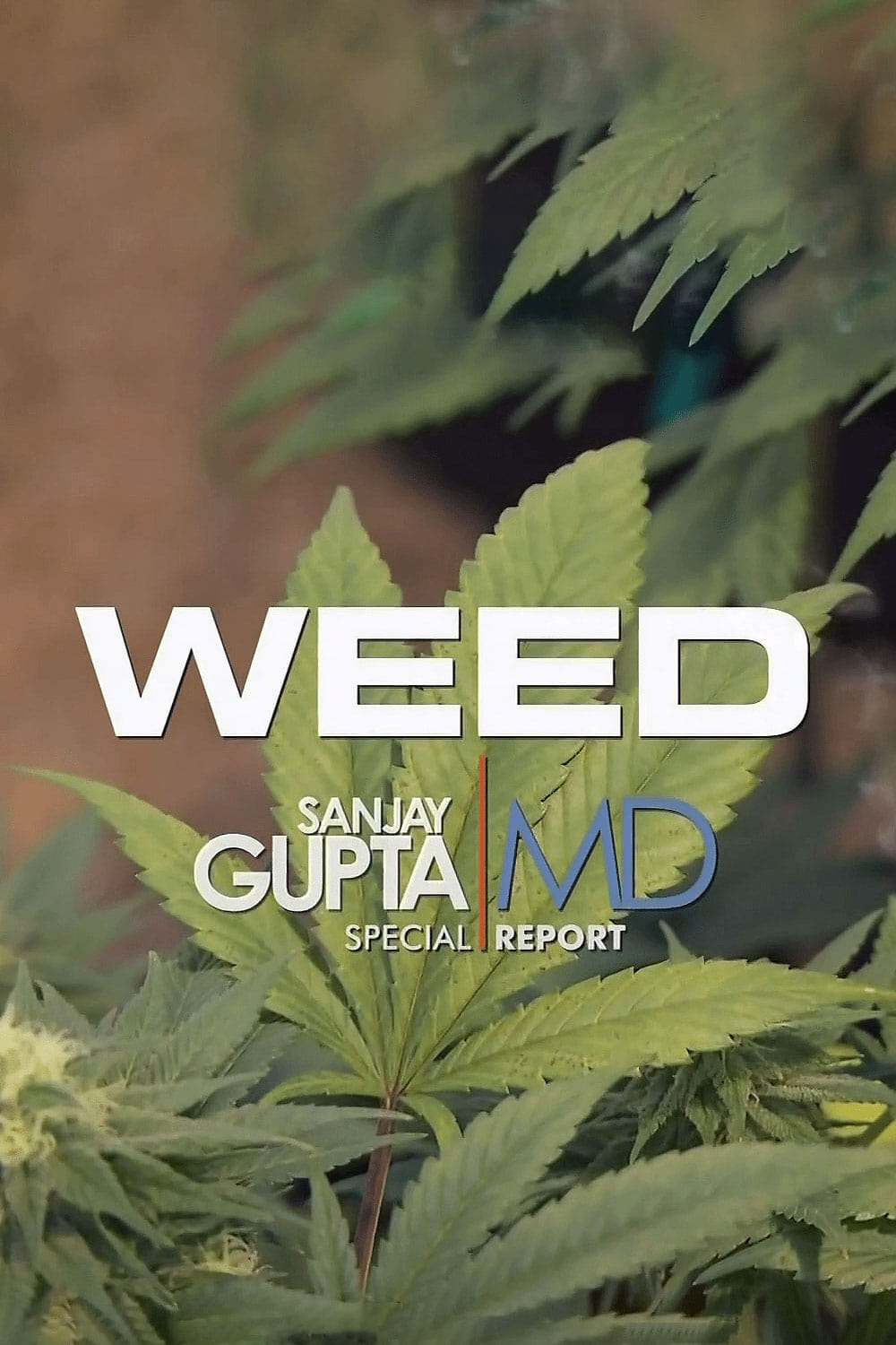 Weed: A Dr. Sanjay Gupta Special