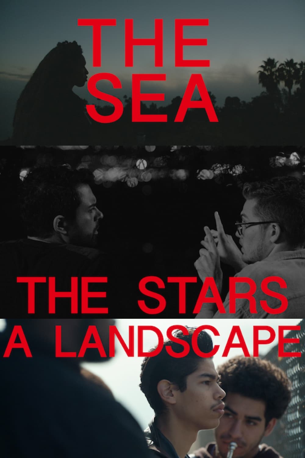 The Sea, The Stars, A Landscape