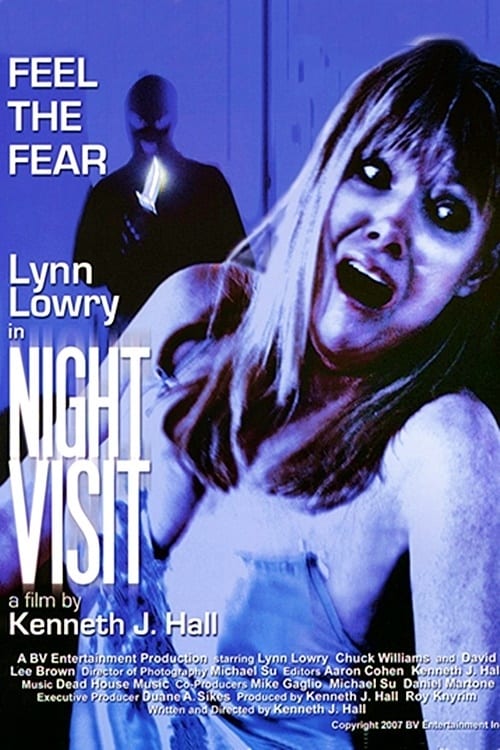 Night Visit (2007)