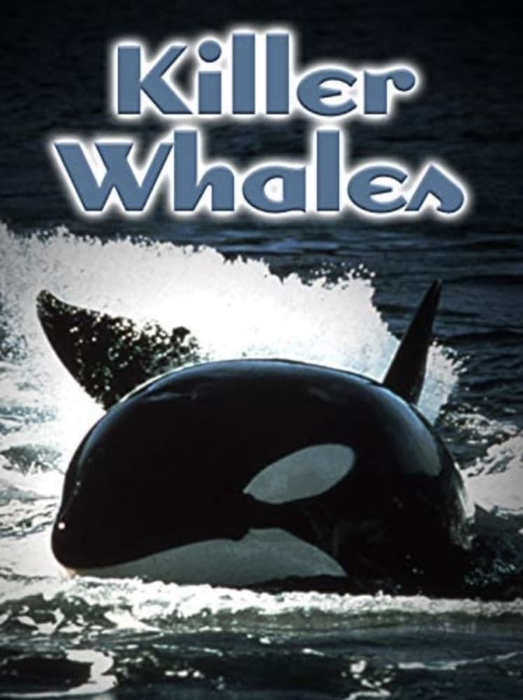 Killer Whales: Up Close and Personal