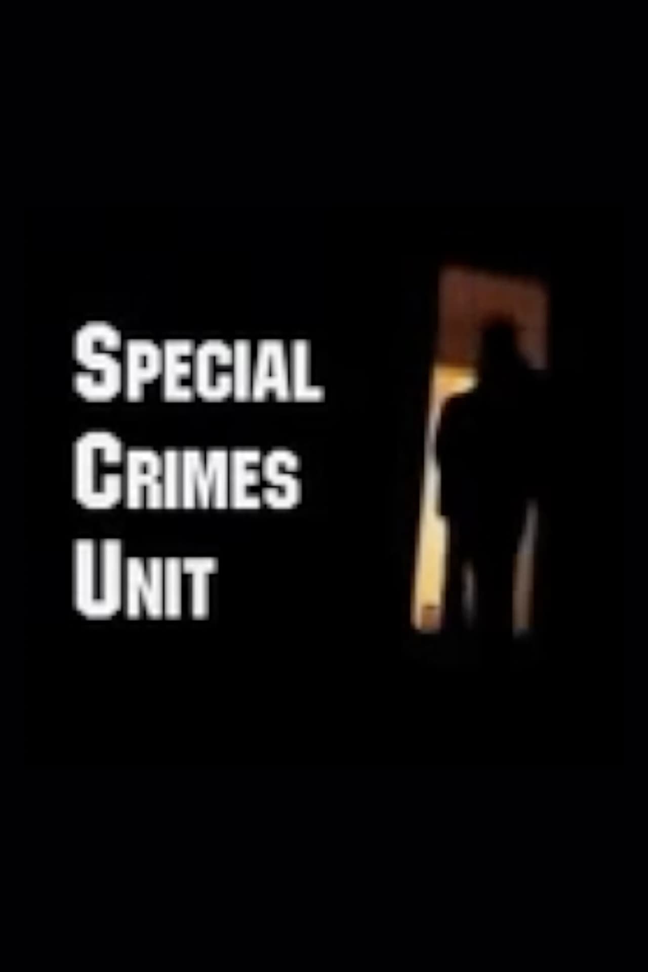Special Crimes Unit