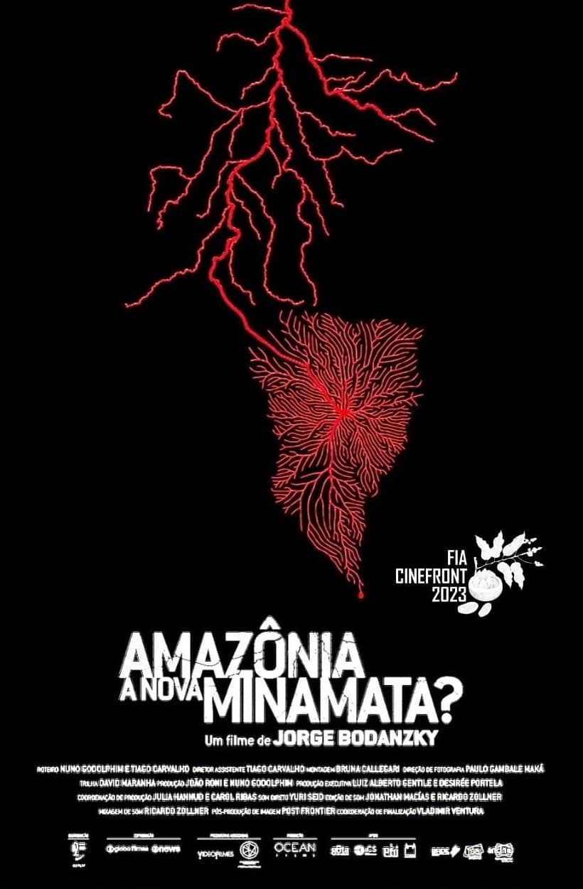 Amazônia, A Nova Minamata?