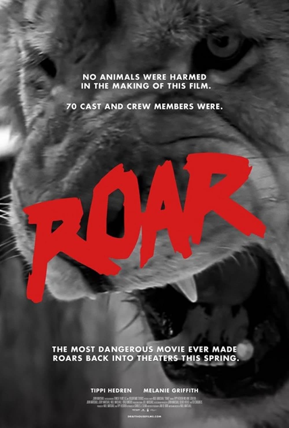 The Making of Roar