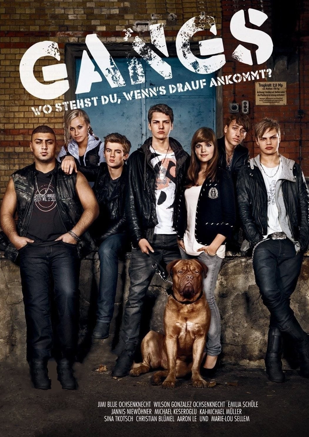 Gangs (2009)