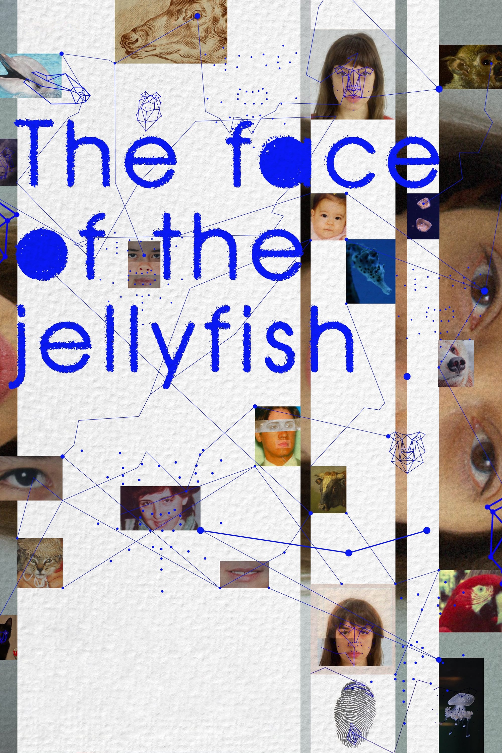 The Face of the Jellyfish