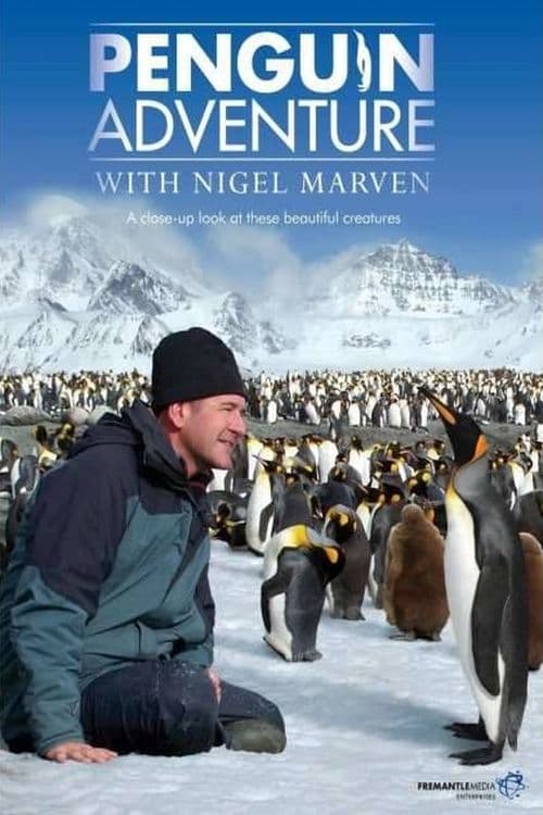 Penguin Adventure with Nigel Marven