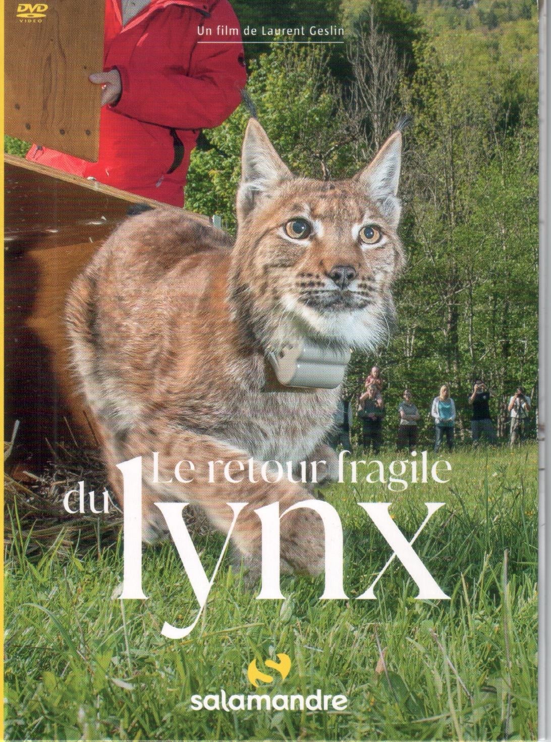 The Fragile Return Of The Lynx