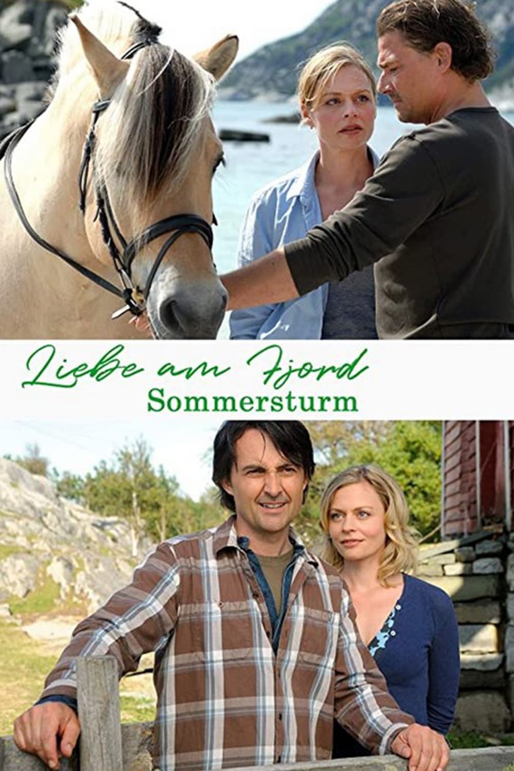 Liebe am Fjord: Sommersturm (2010)