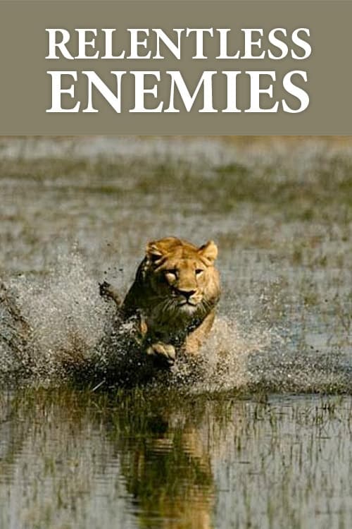 Relentless Enemies: Revealed