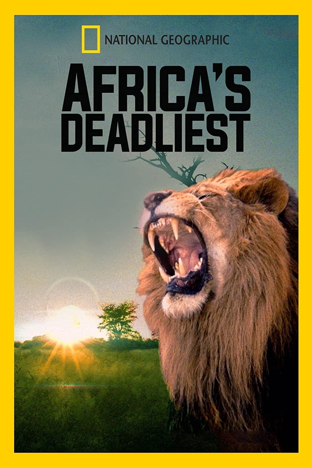 Africa's Deadly Kingdoms