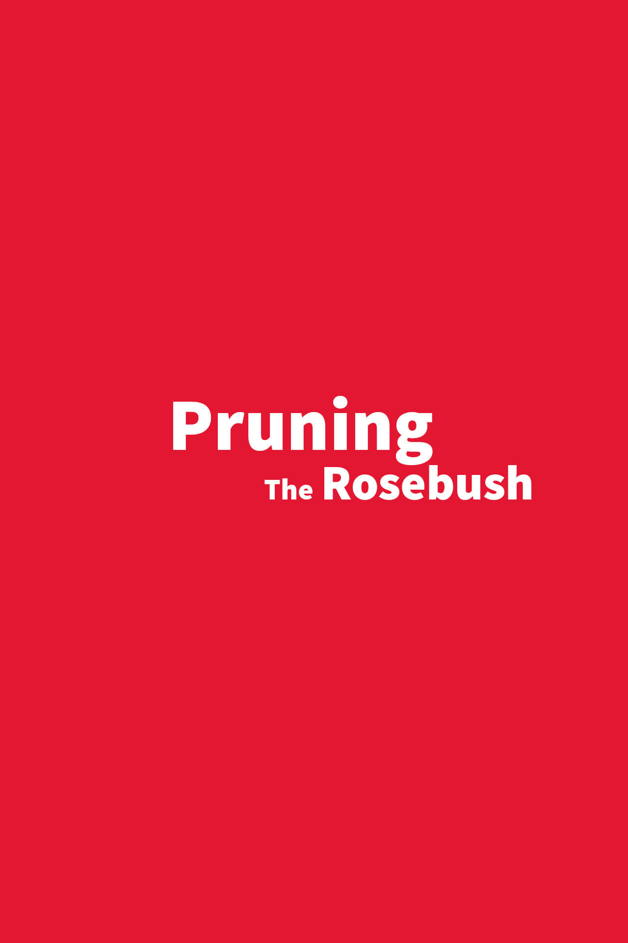 Pruning The Rosebush