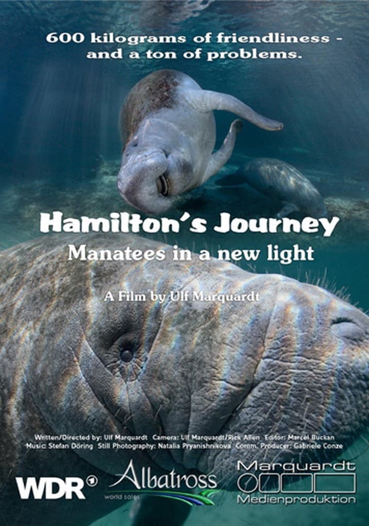 Hamilton's Journey - Manatees in a New Light