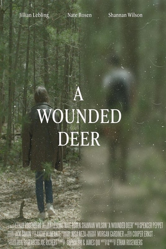 A Wounded Deer