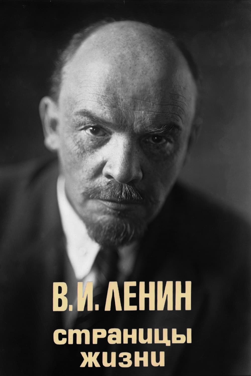 В.И. Ленин. Страницы жизни