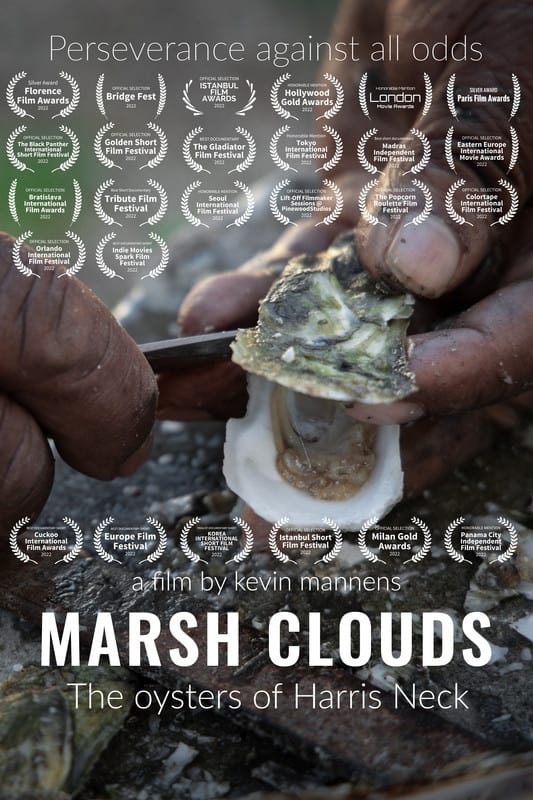 Marsh Clouds: The Oysters of Harris Neck