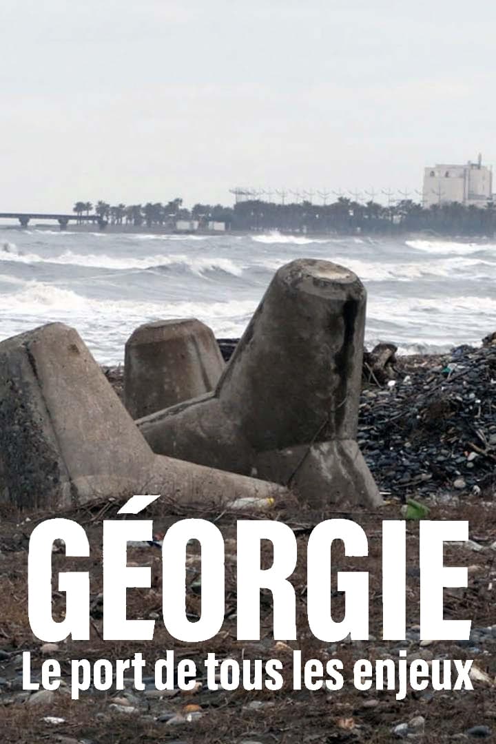 Géorgie - Le port de tous les enjeux