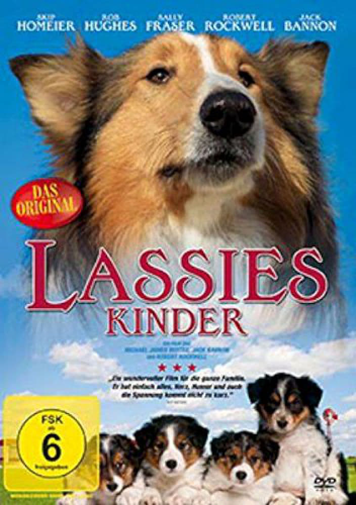 Lassie: The miracle