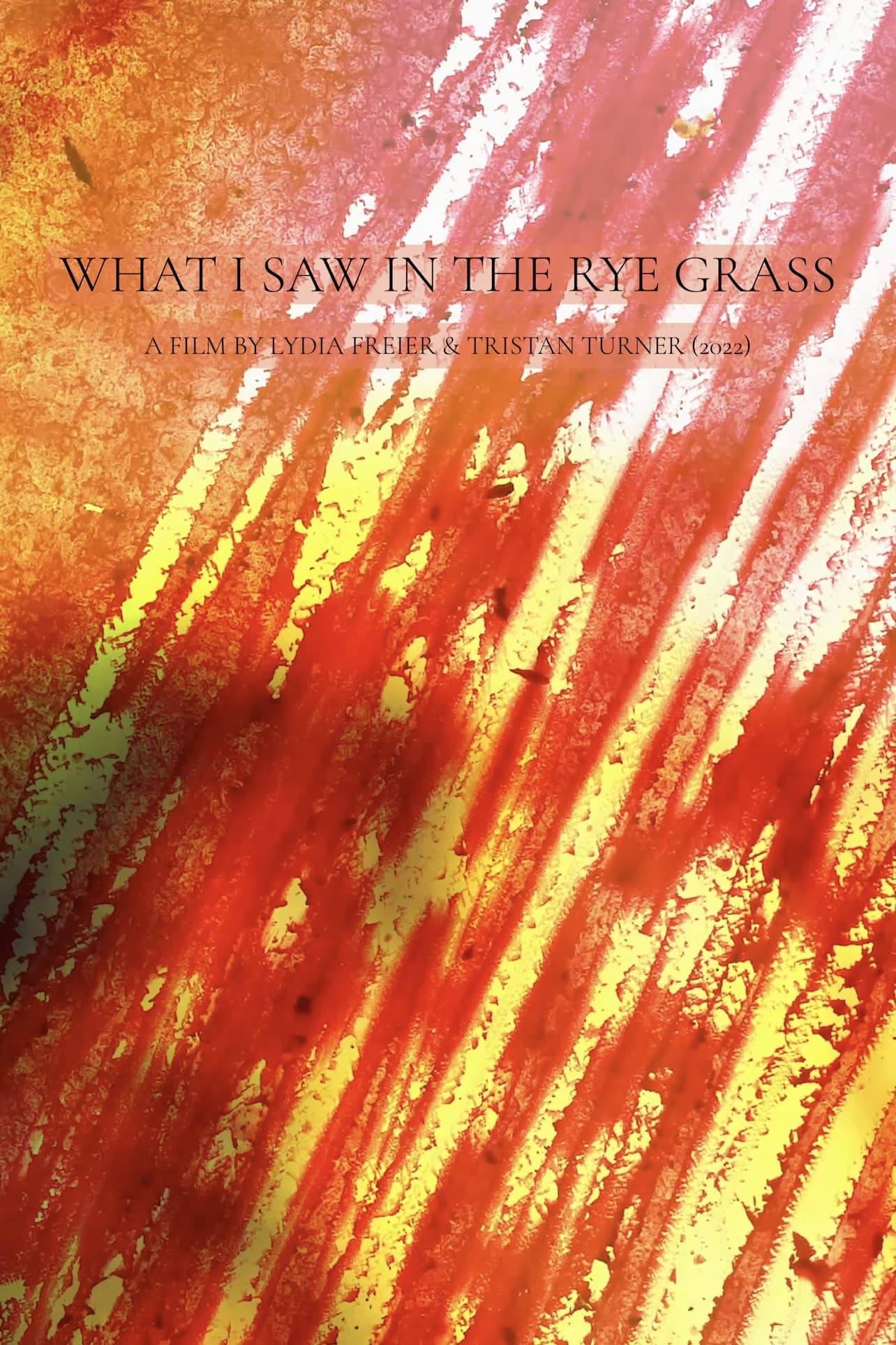 What I Saw in the Rye Grass