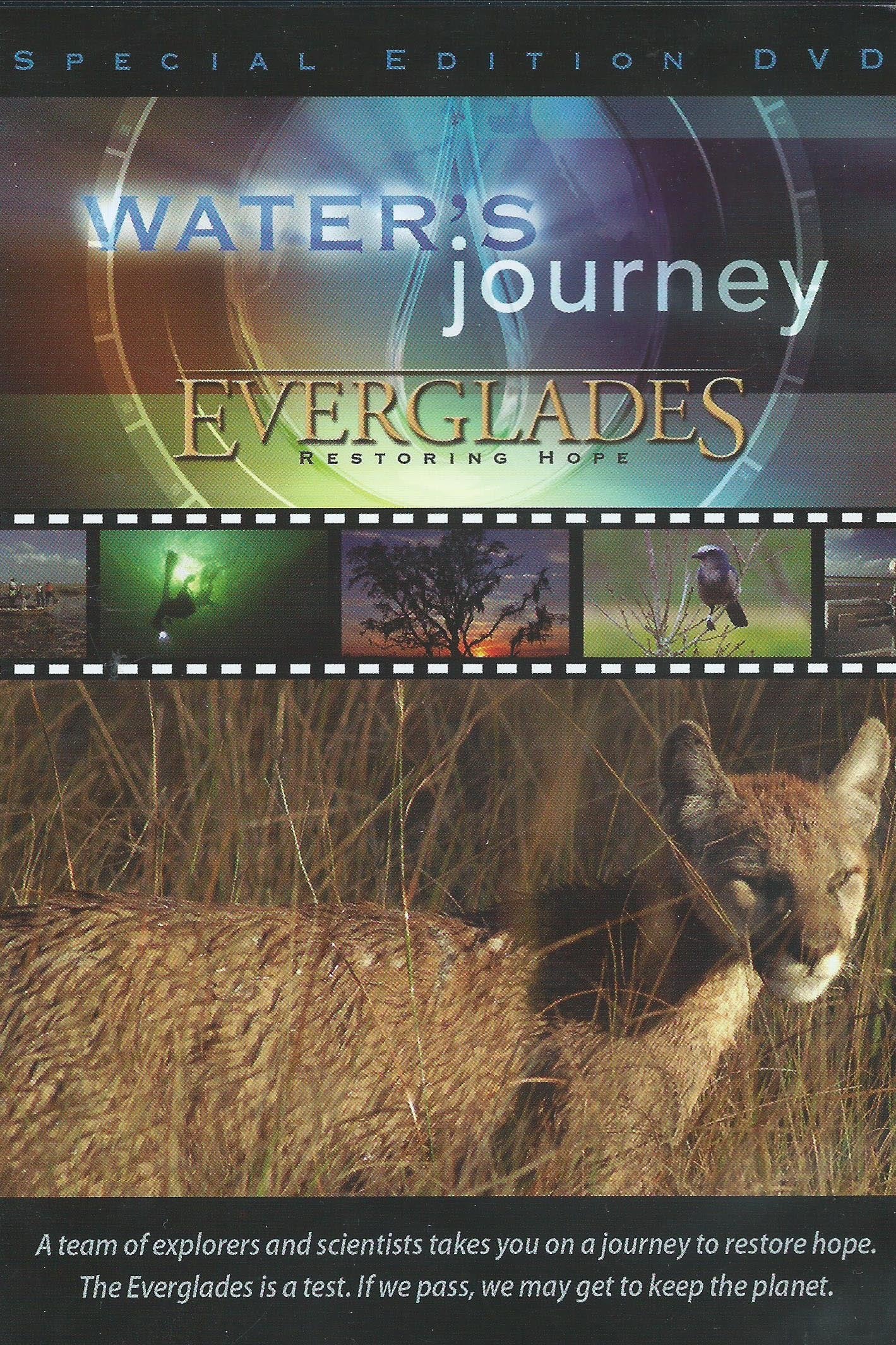 Water's Journey - Everglades: Restoring Hope