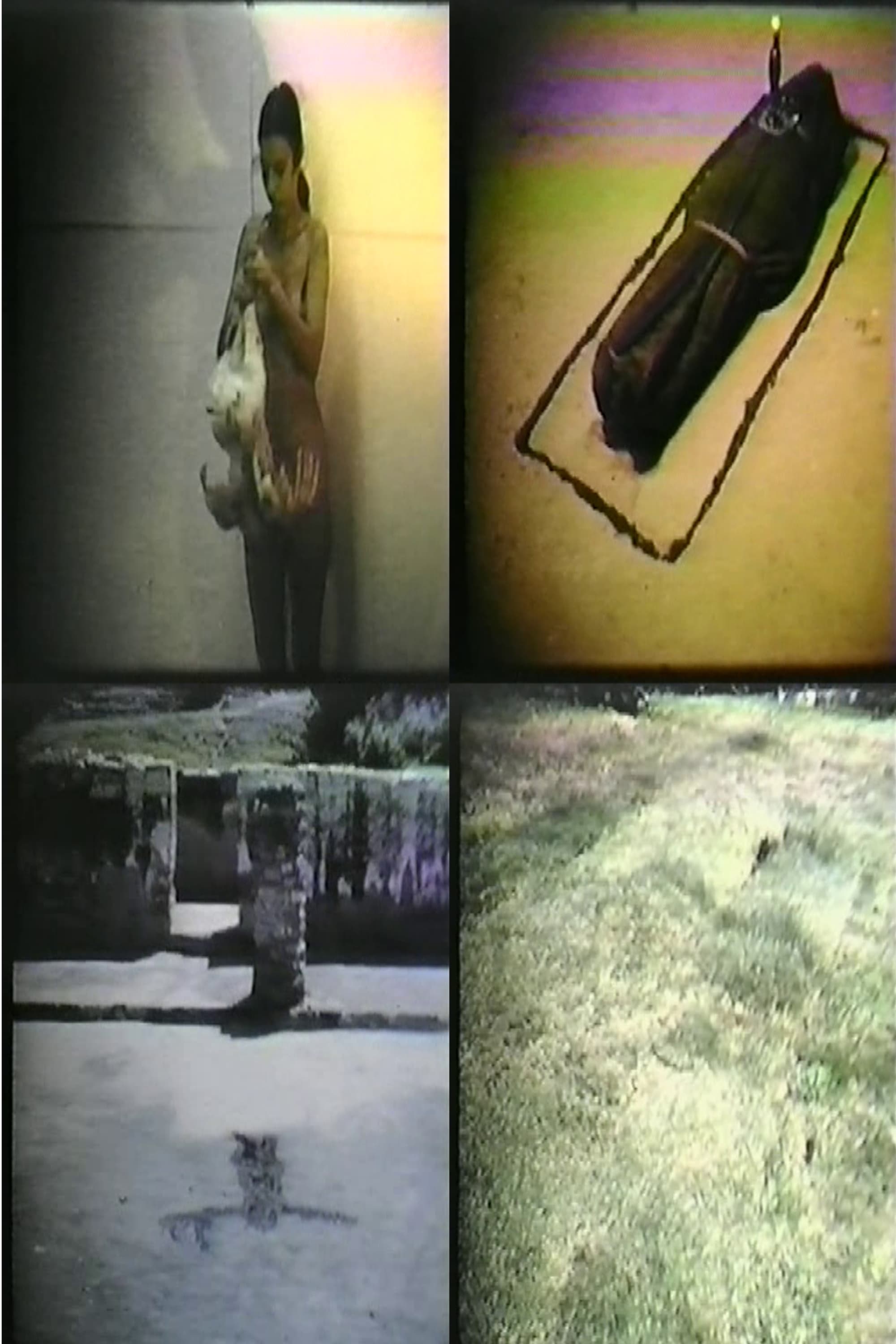 Ana Mendieta: Selected Film Works