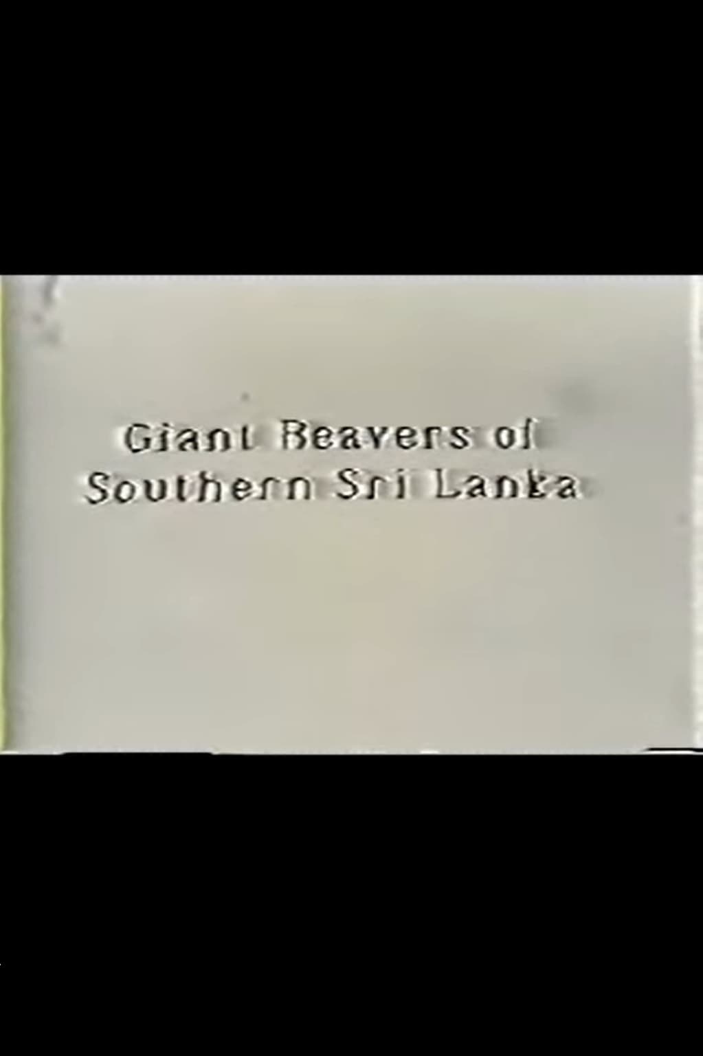 Giant Beavers of Southern Sri Lanka