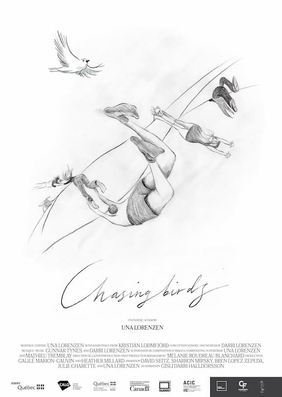Chasing Birds