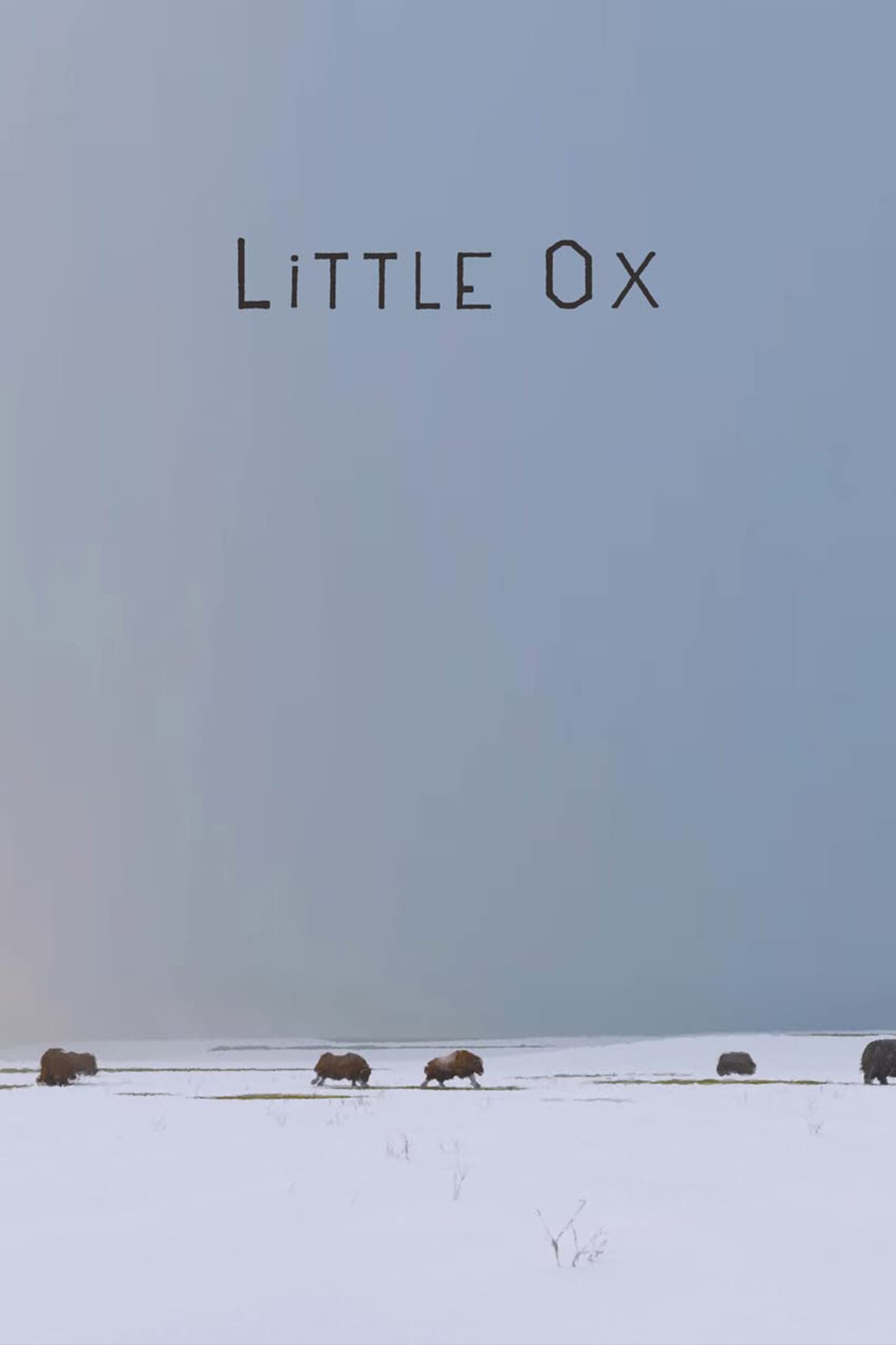 Little Ox