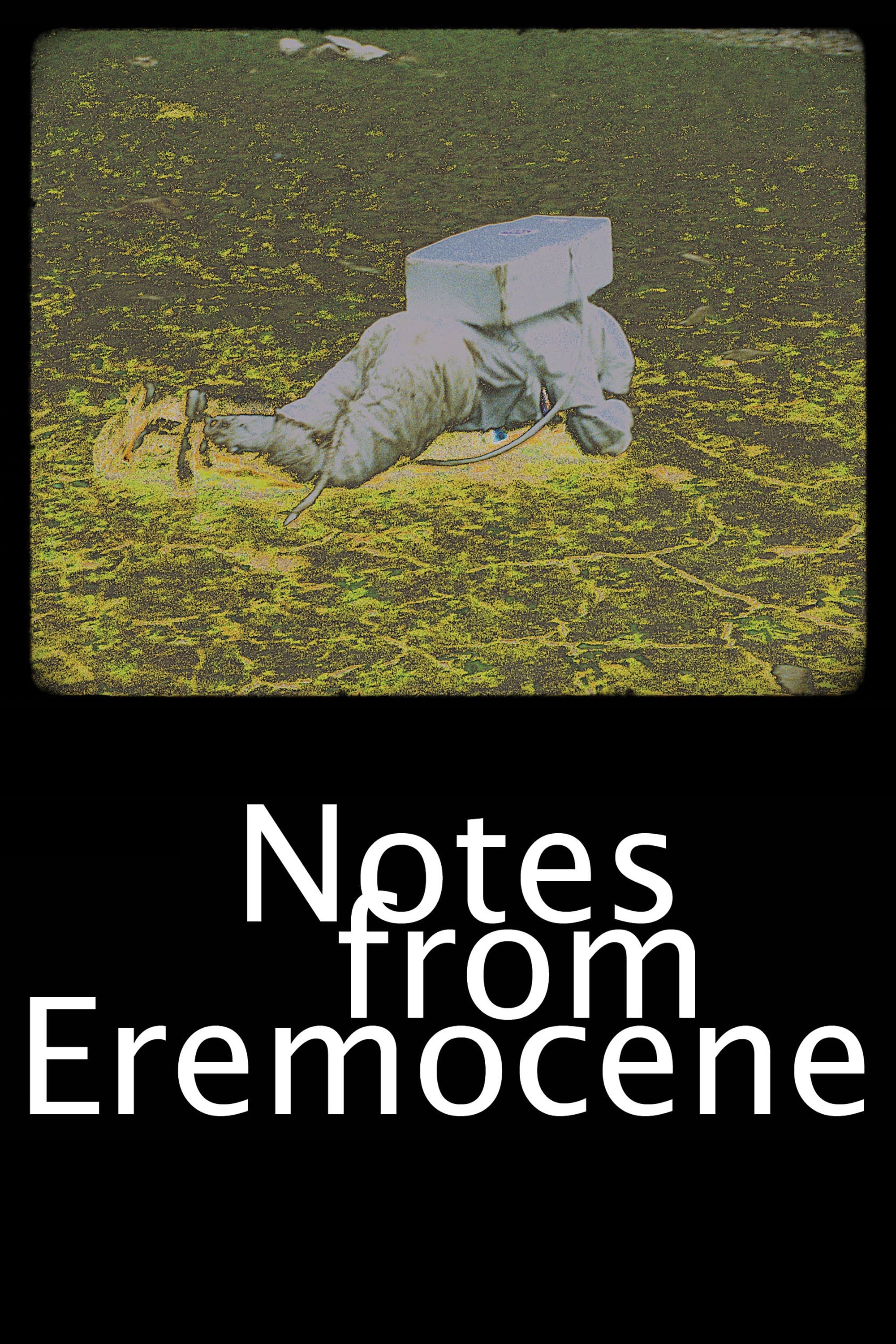 Notes from Eremocene