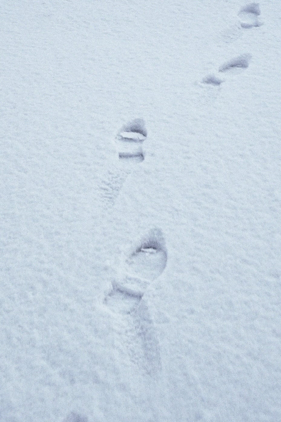 Terza passeggiata - Sulla neve