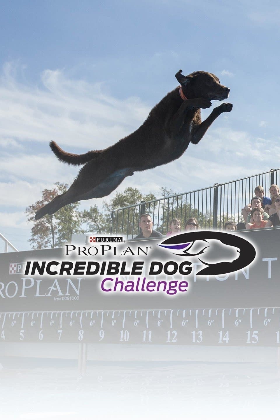 The Incredible Dog Challenge Tour