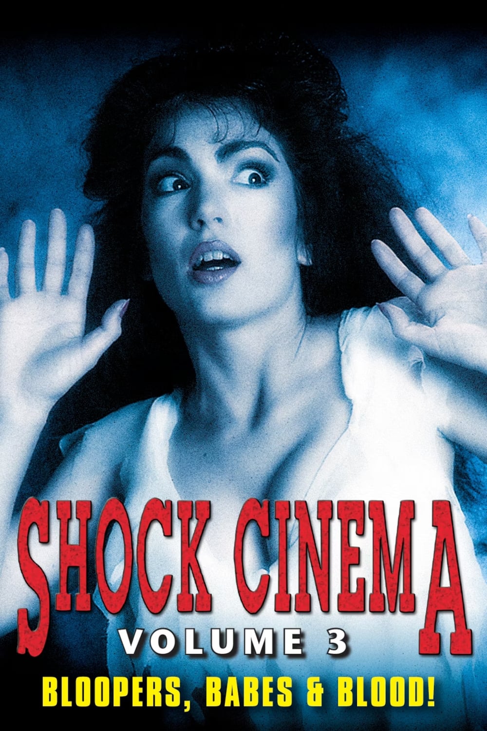 Shock Cinema: Volume Three (1991)