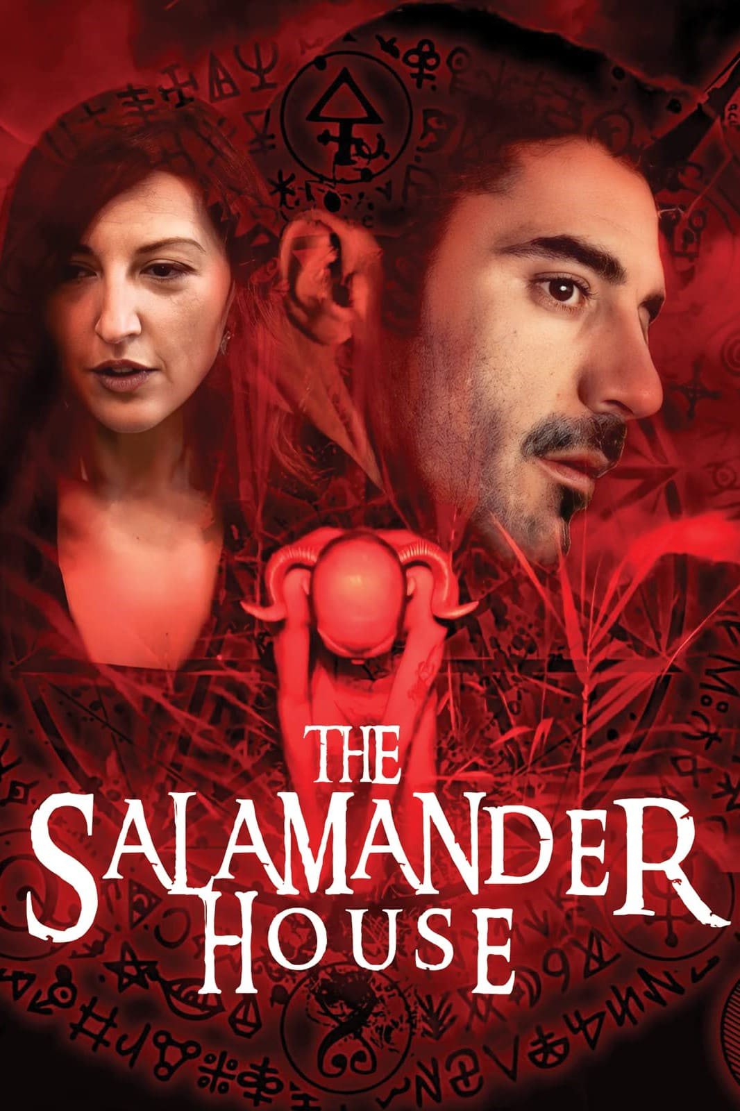The Salamander House