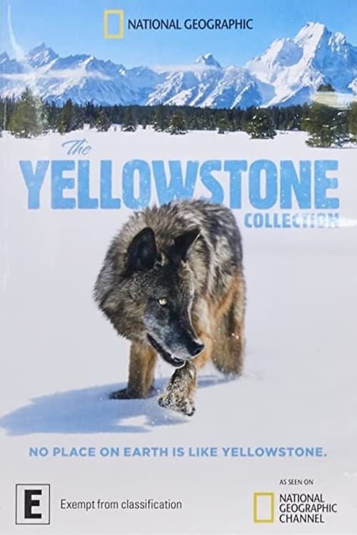 The Yellowstone Collection