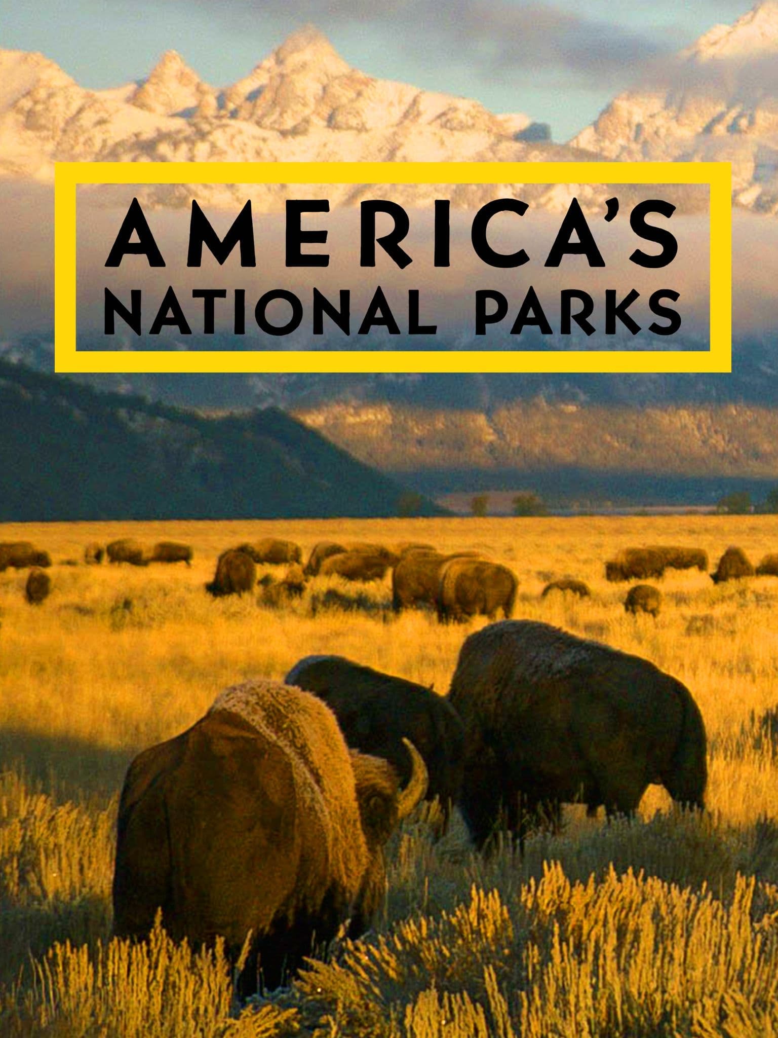 Au coeur des parcs nationaux d'Amérique