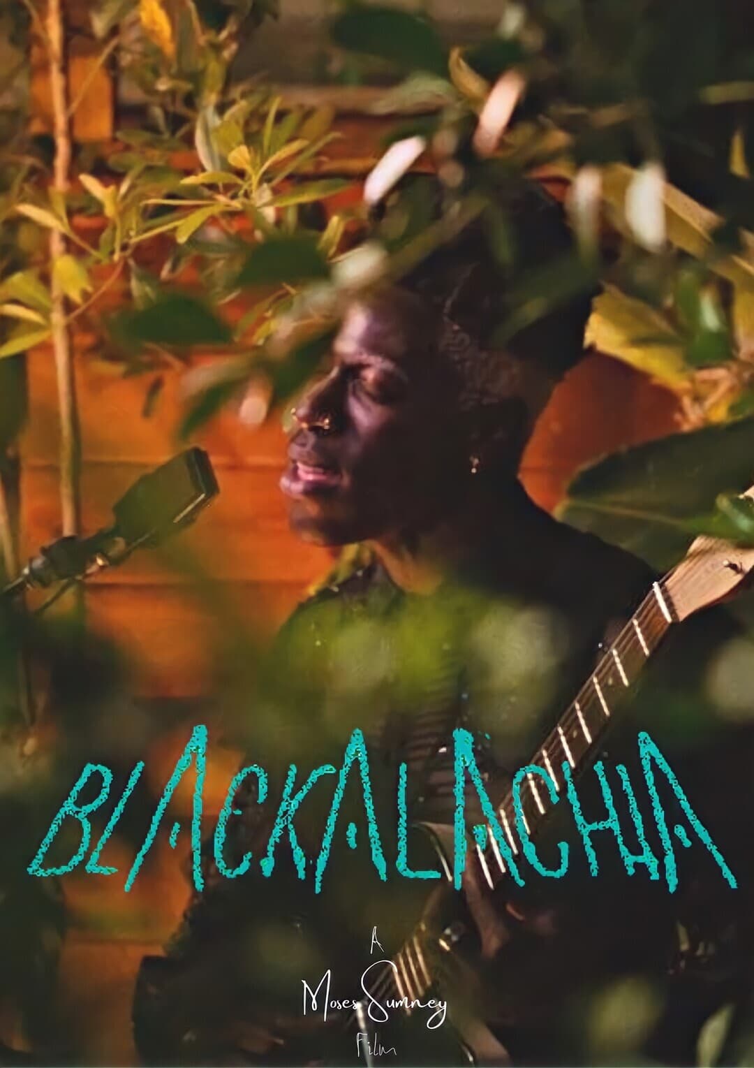 Blackalachia