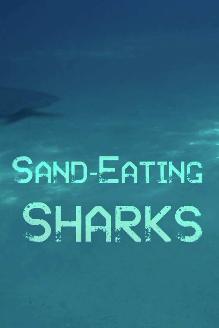 The Sand Eating Shark