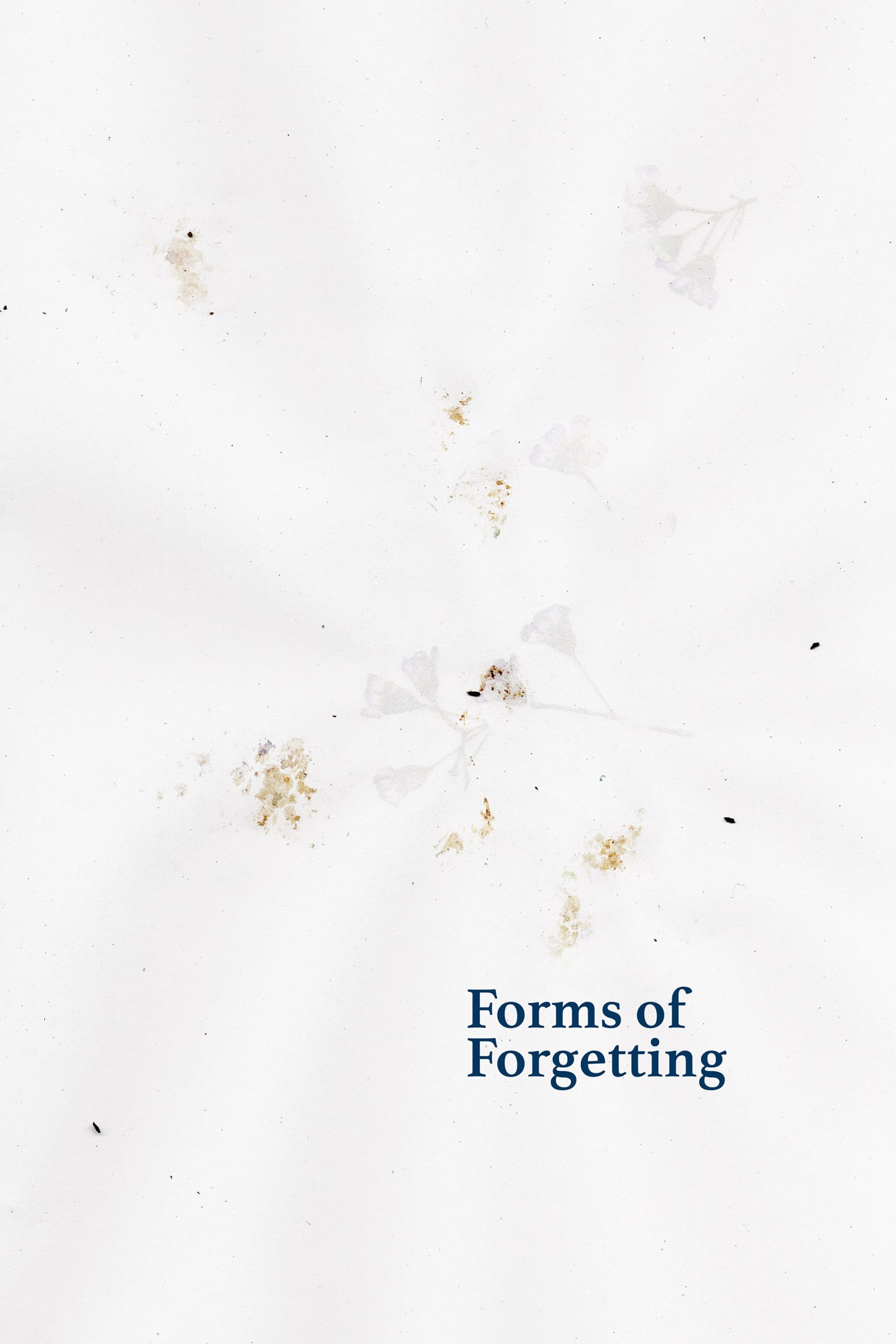Forms of Forgetting