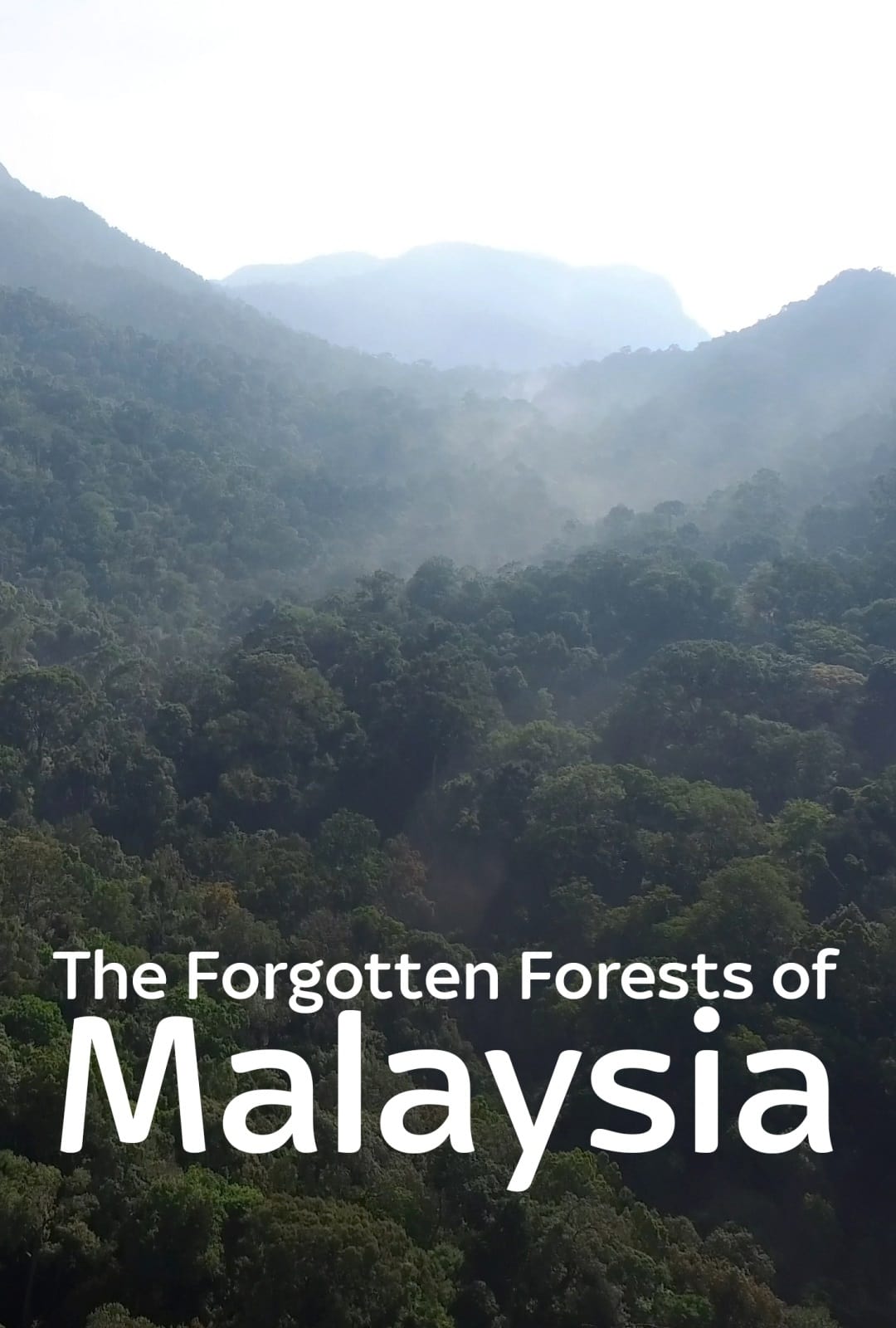 The Forgotten Forests of Malaysia