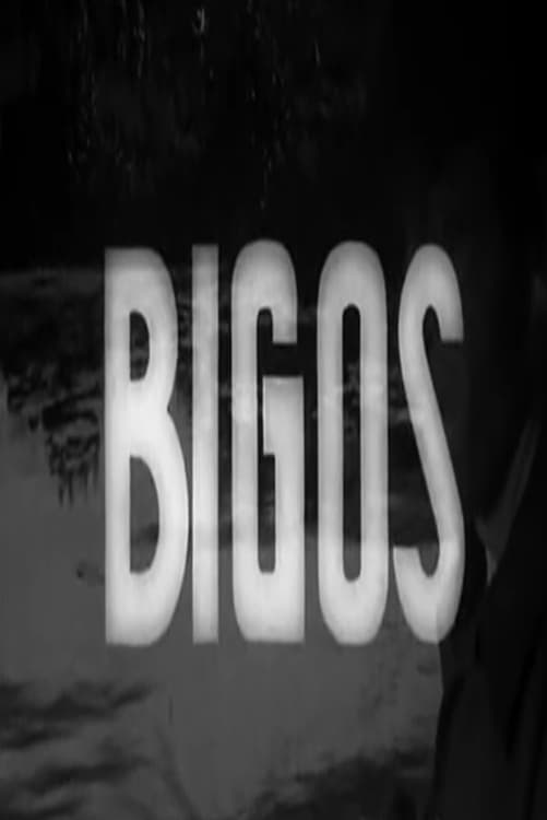 Bigos