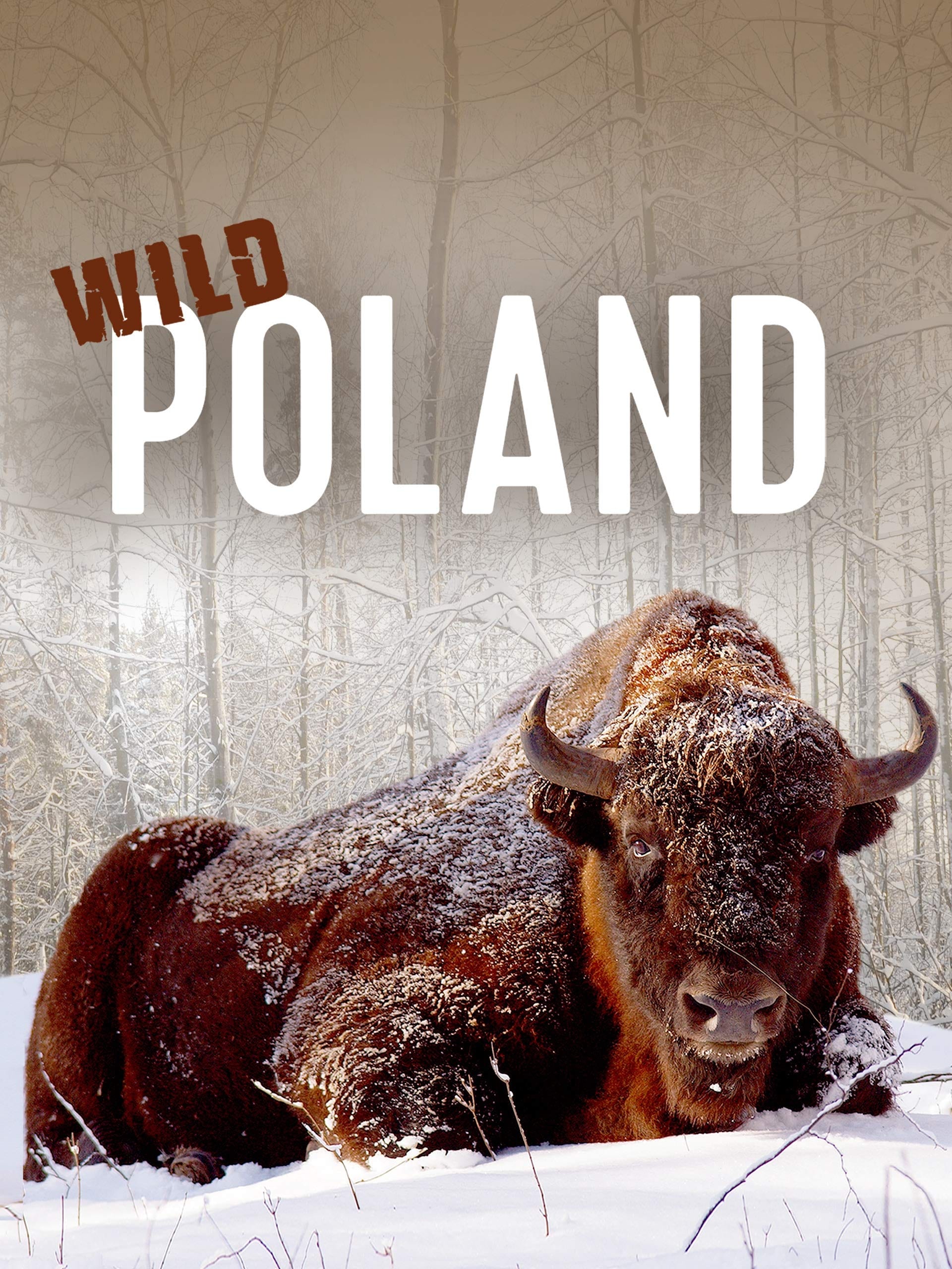 Wild Poland