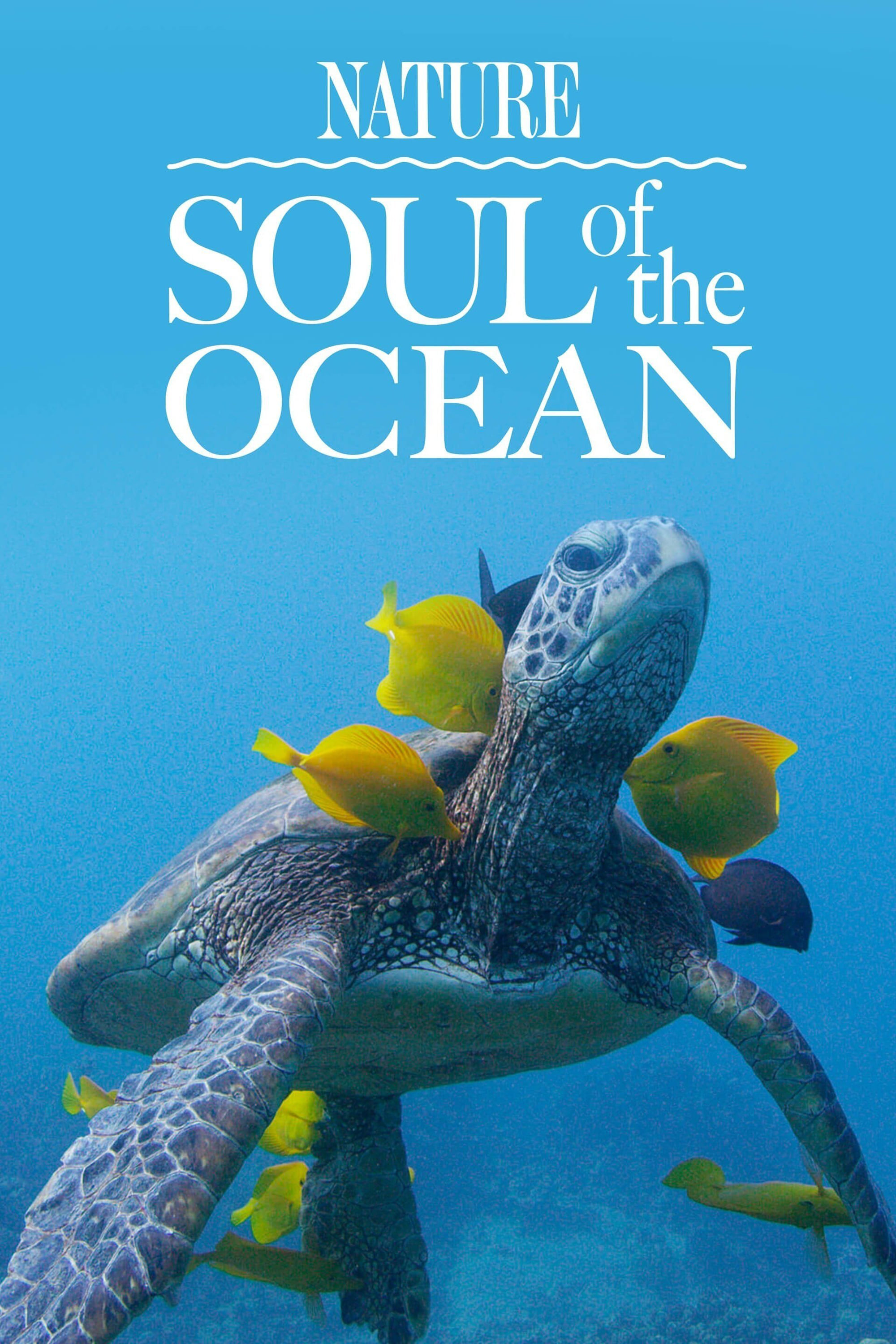 Soul of the Ocean