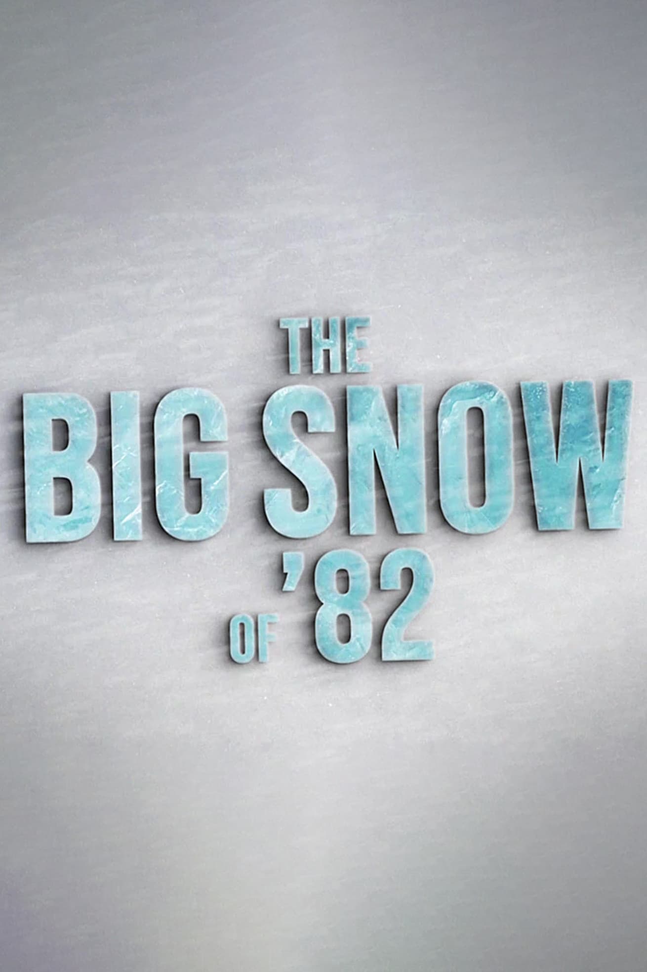 The Big Snow of '82
