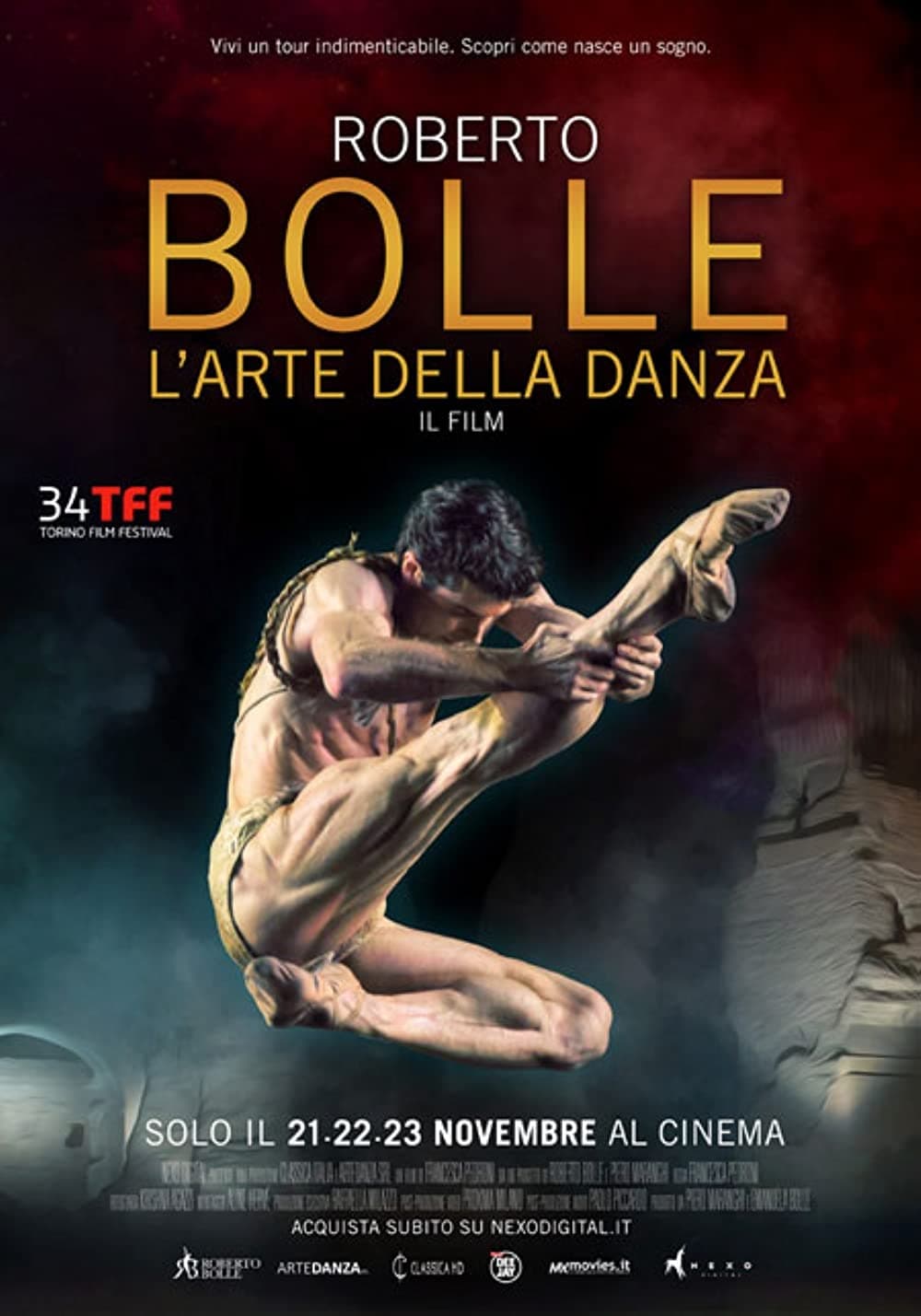 Roberto Bolle:  The Art of the Dance