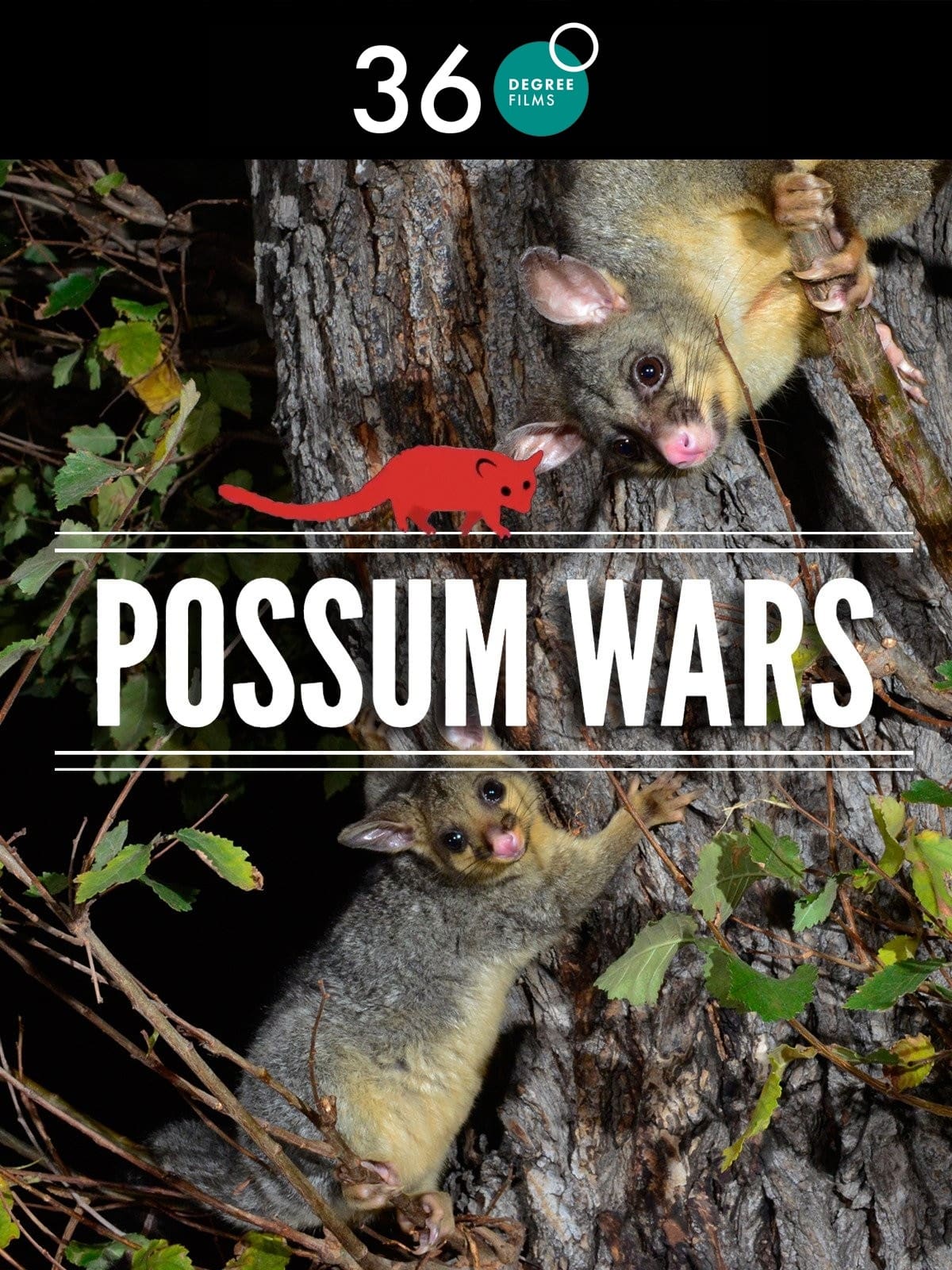 Possum Wars