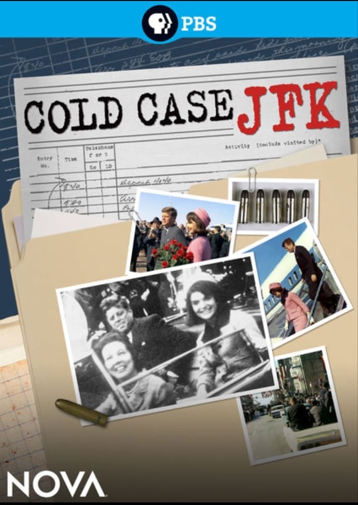 Cold Case JFK (2013)