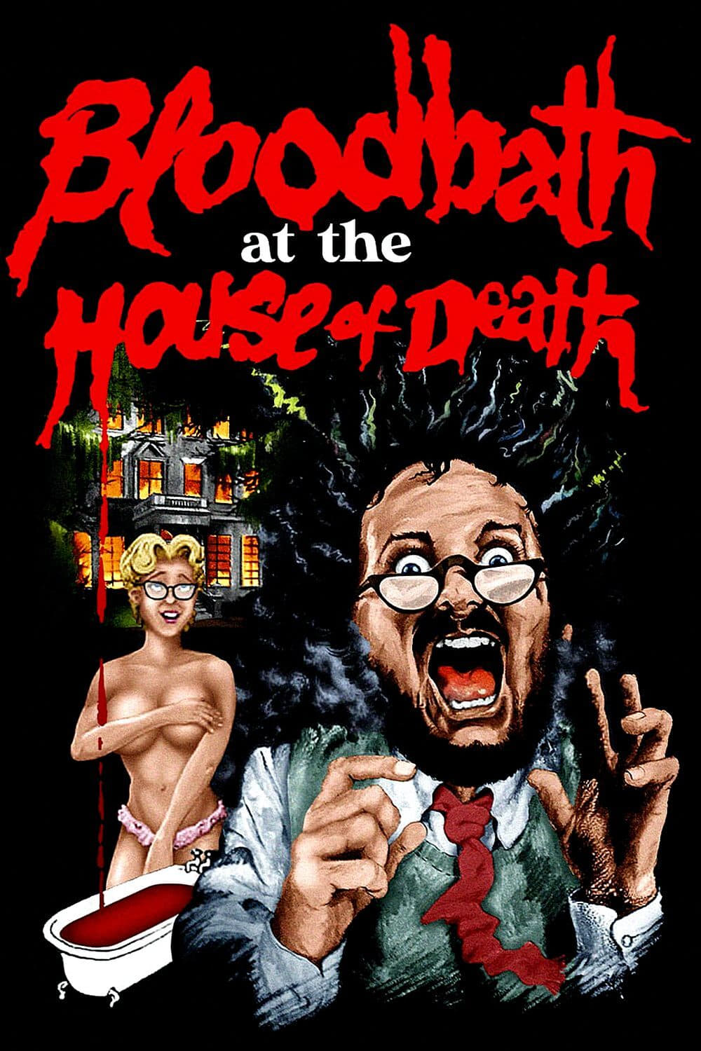 Bloodbath at the House of Death (1984)