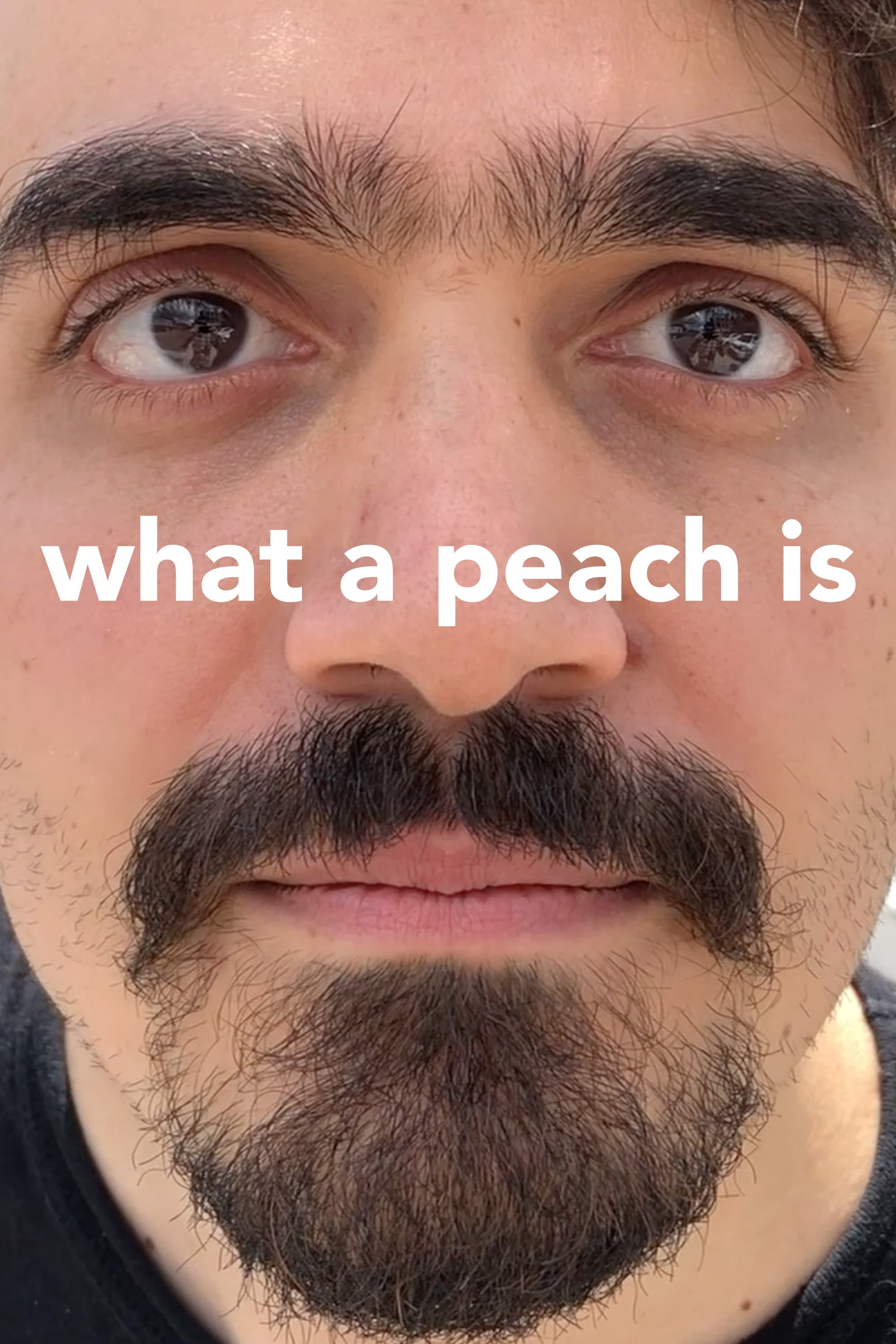 What a Peach Is
