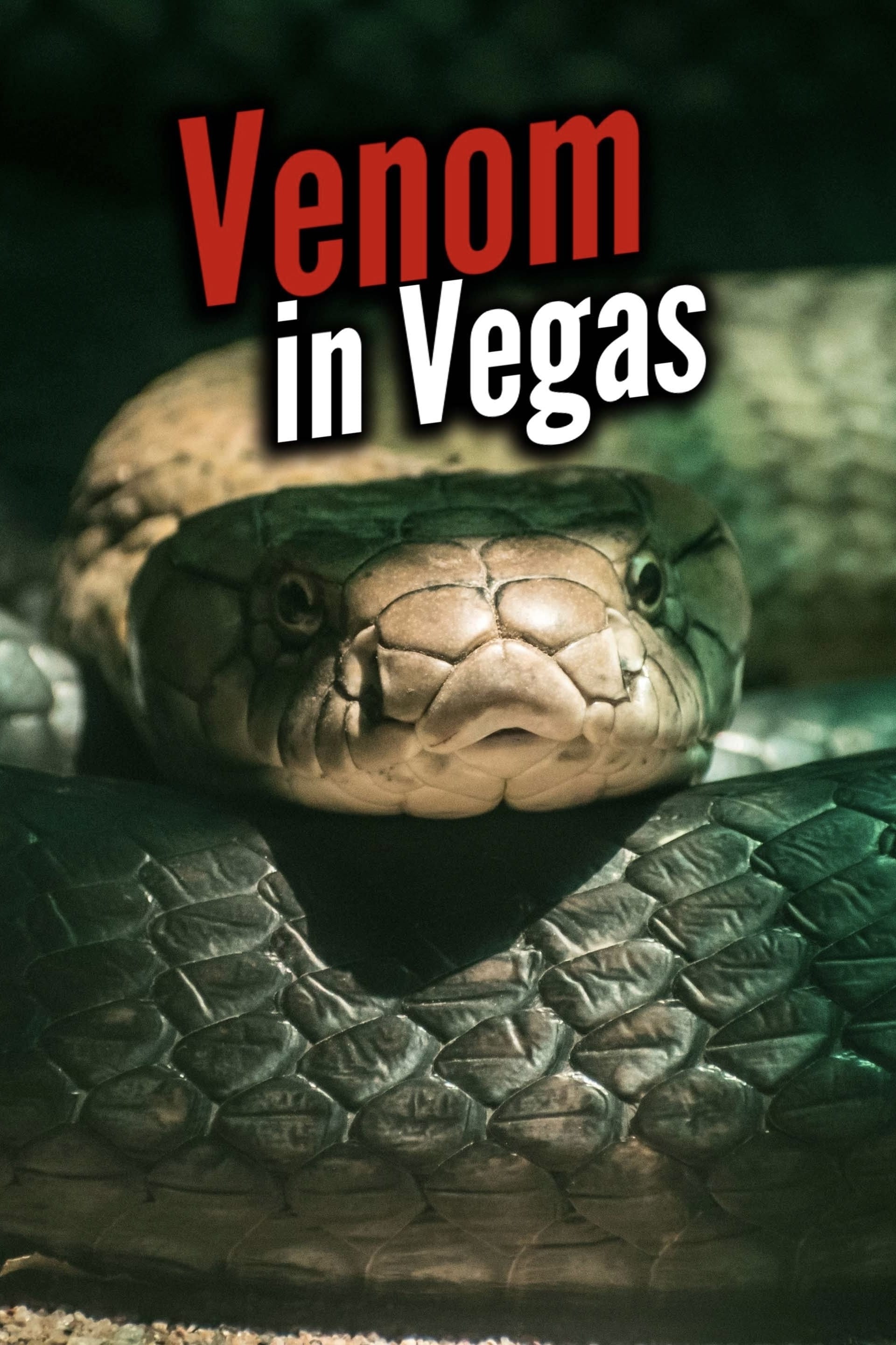 Venom In Vegas