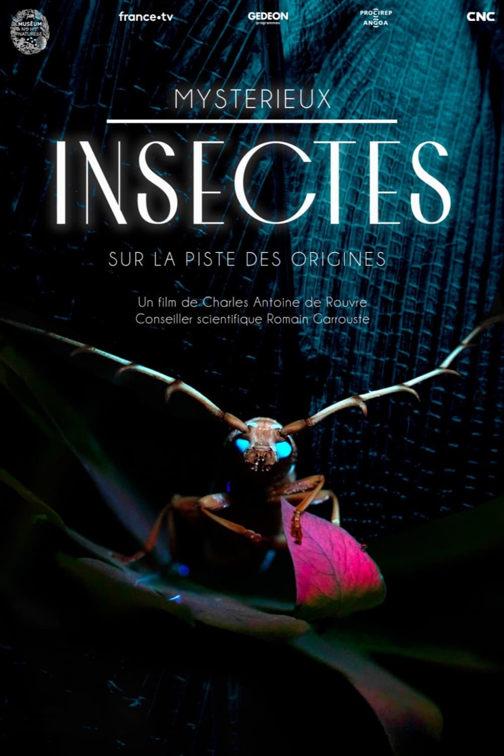 Mystérieux insectes, sur la piste des origines